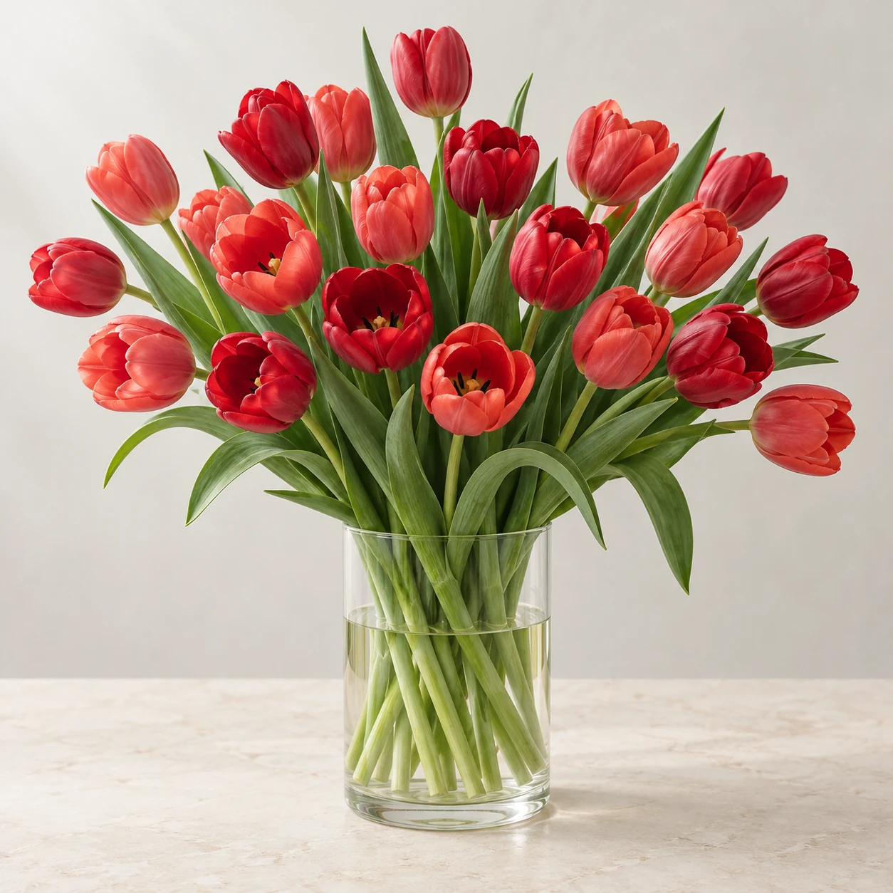 20 Red Tulips